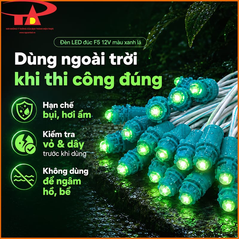 Đèn LED đúc F5 12V màu xanh lá đặt trên nền ẩm với thông tin dùng ngoài trời đúng cách
