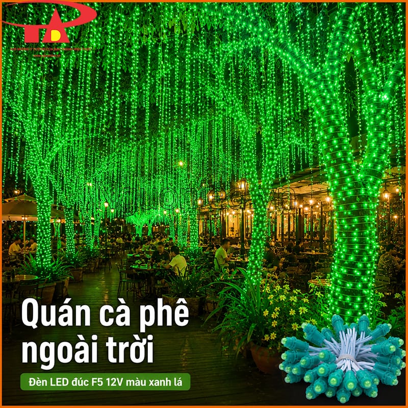 Đèn LED đúc F5 12V màu xanh lá quấn dày thân cây và thả rủ trong quán cà phê 