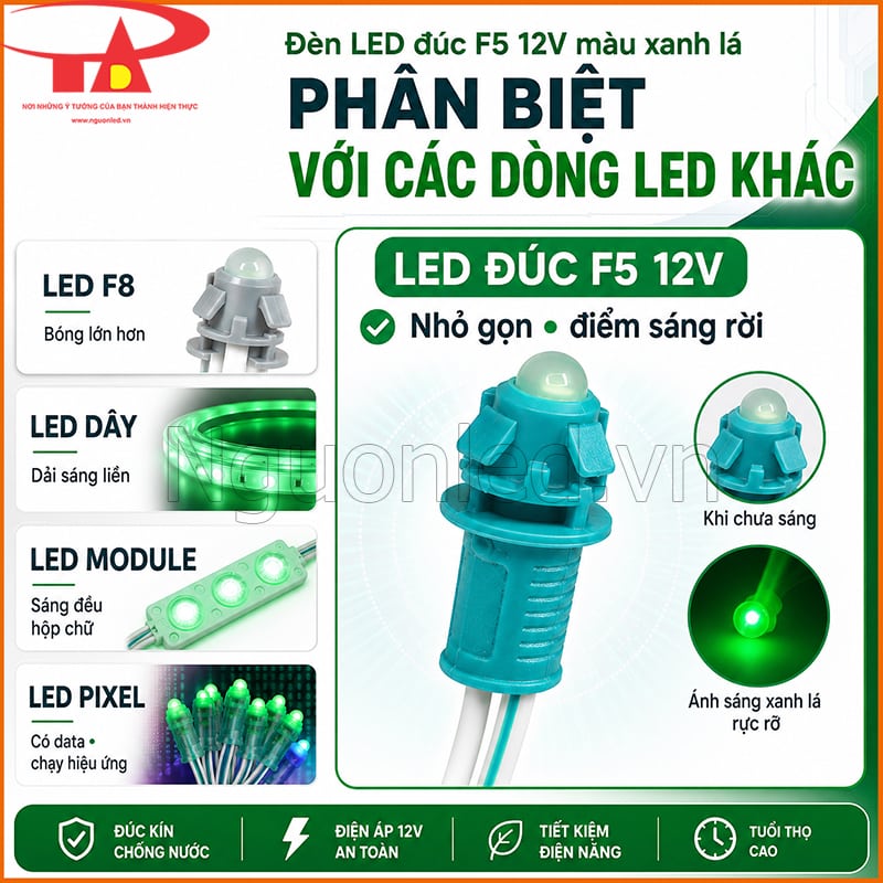 Đèn LED đúc F5 12V màu xanh lá so sánh với LED F8, LED dây, LED module và LED pixel 