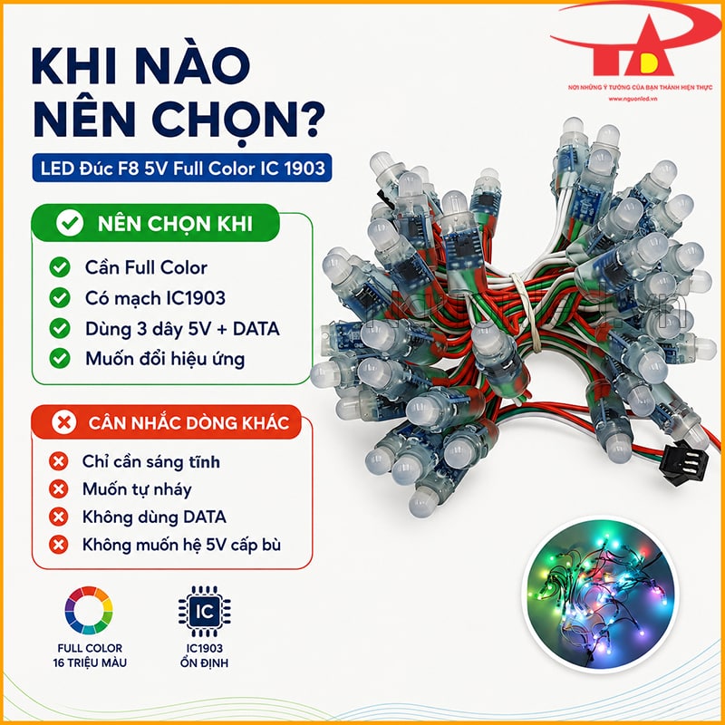 LED đúc F8 5V Full Color IC 1903 với bảng khi nào nên chọn và khi nào cân nhắc dòng khác