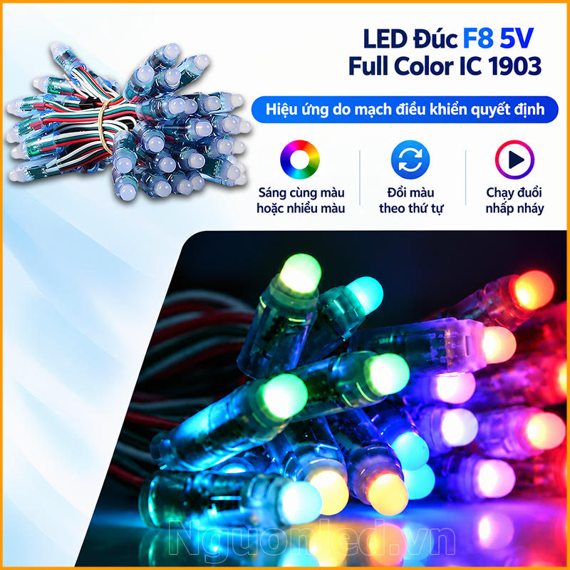 LED đúc F8 Full Color 1903 với đầu F8, đế 12 mm và hiệu ứng đổi màu