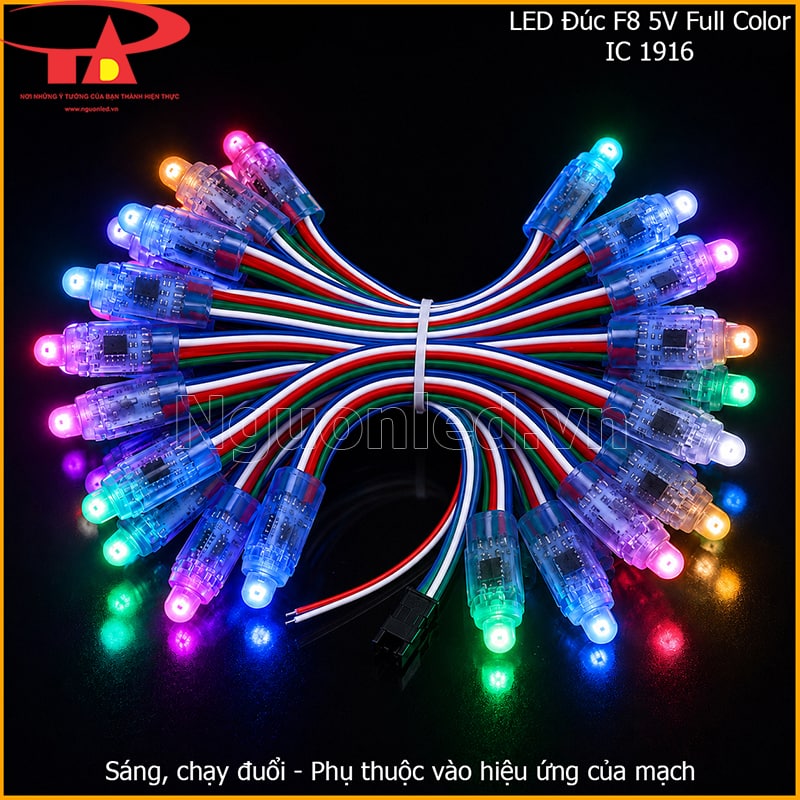LED đúc F8 Full color IC 1916 đang sáng chạy đuổi nhiều màu trên nền đen 