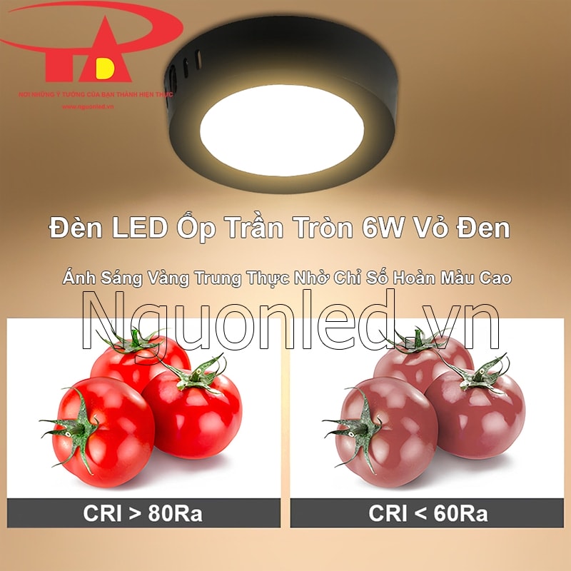 Màu sắc vật thể ấm áp, tự nhiên dưới ánh sáng vàng từ đèn LED tròn ốp trần 6W CRI > 80Ra