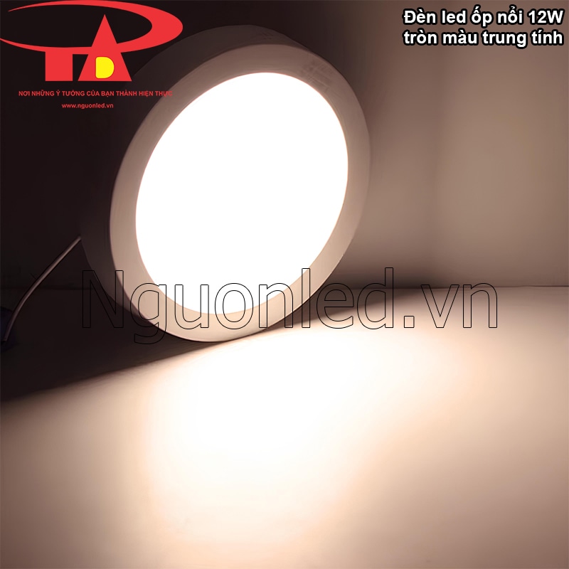 Trải nghiệm ánh sáng trung tính 4000K dịu mắt từ đèn LED ốp trần 12W