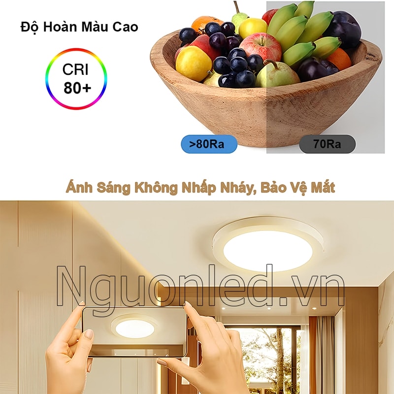 Trải nghiệm màu sắc sống động với chất lượng ánh sáng đèn led CRI >80Ra