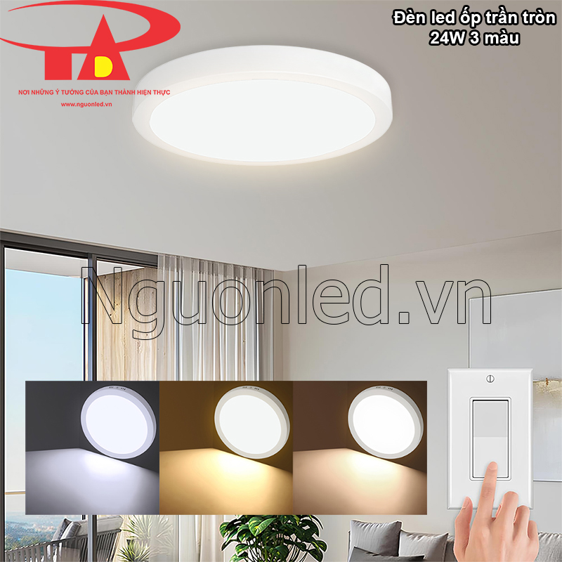 Ánh Sáng Linh Hoạt – Đáp Ứng Mọi Nhu Cầu