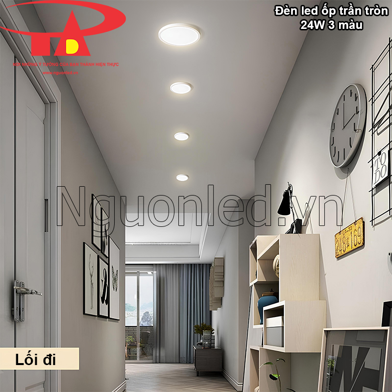 Lối Đi – Chiếu Sáng An Toàn và Tiện Lợi