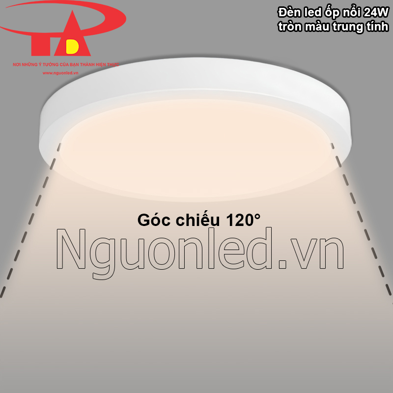 Chiếu sáng không gian rộng lớn với đèn ốp trần 24w ánh sáng trung tính
