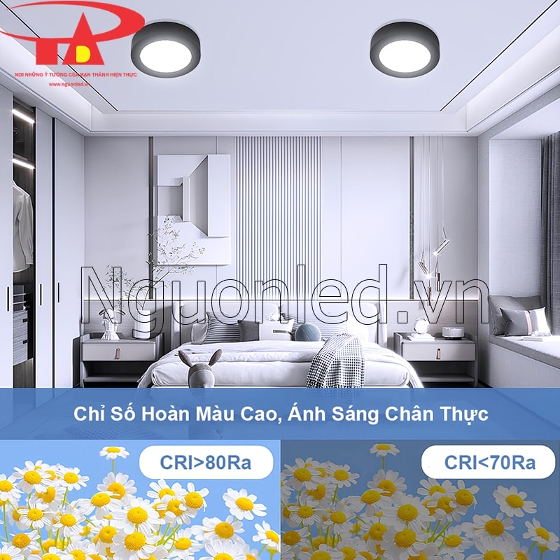 Màu sắc vật thể chân thực dưới ánh đèn LED ốp trần tròn 6W có CRI trên 80