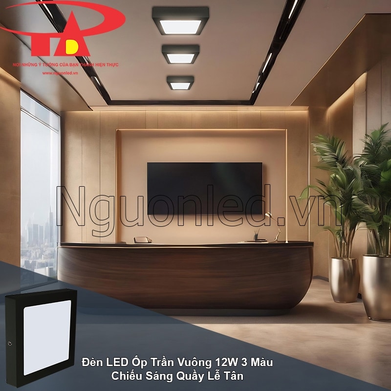 Đèn LED gắn nổi vuông 12W tạo ấn tượng chuyên nghiệp cho quầy lễ tân
