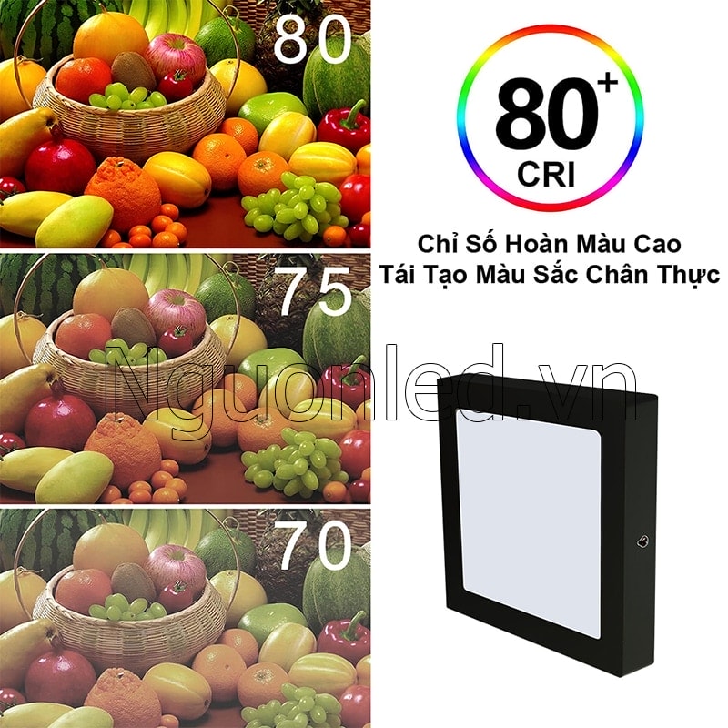 Chỉ số CRI ≥ 80Ra mang lại ánh sáng trung thực, giúp tái hiện màu sắc vật thể rõ nét