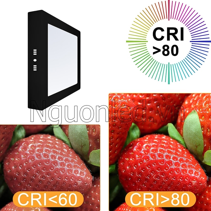 Ánh sáng trung thực từ đèn led ốp nổi giúp vật thể hiện màu chuẩn hơn