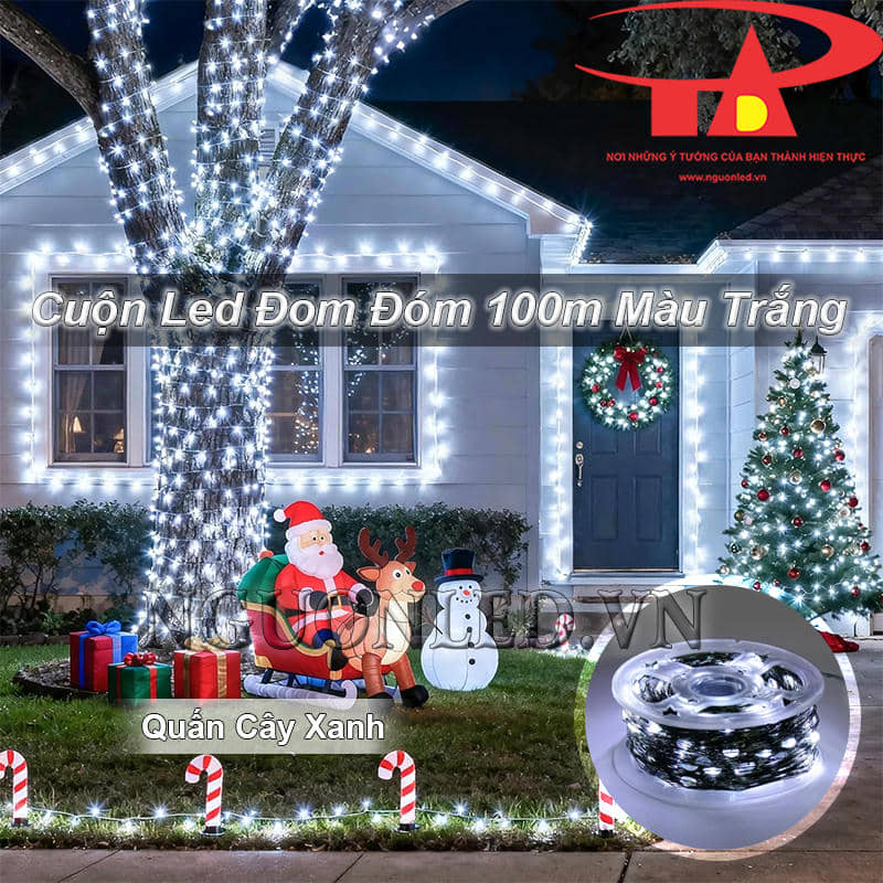 Cuộn dây đèn led kẽm 100m ánh sáng trắng quấn cây xanh