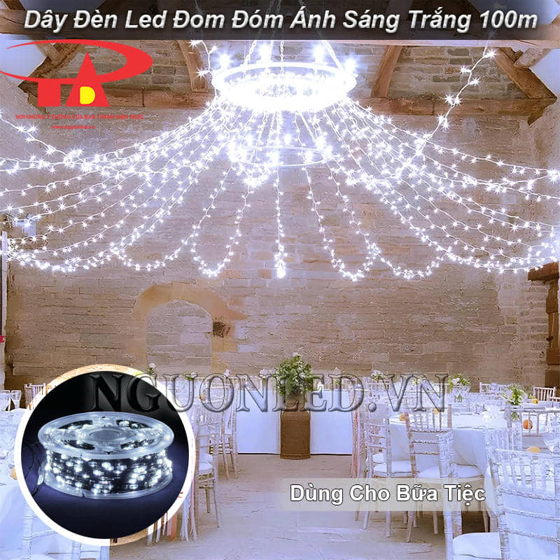 Dây đèn led đom đóm 100m ánh sáng trắng sử dụng cho bữa tiệc