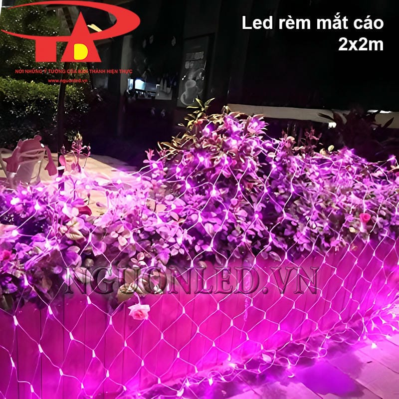 Đèn led lưới mắt cáo màu hồng 2x2m