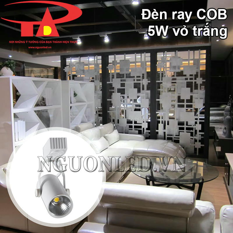 Đèn ray rọi trang trí trong nhà