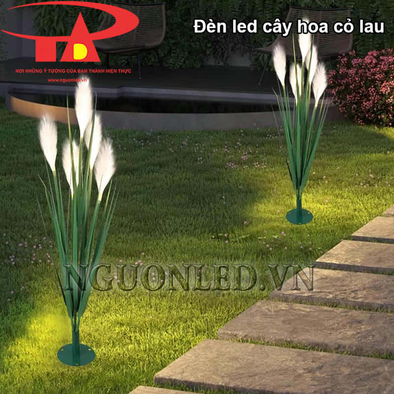 Cây led cỏ lau