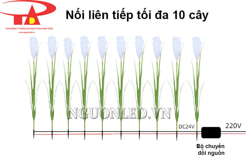 Đèn cây bông cỏ lau