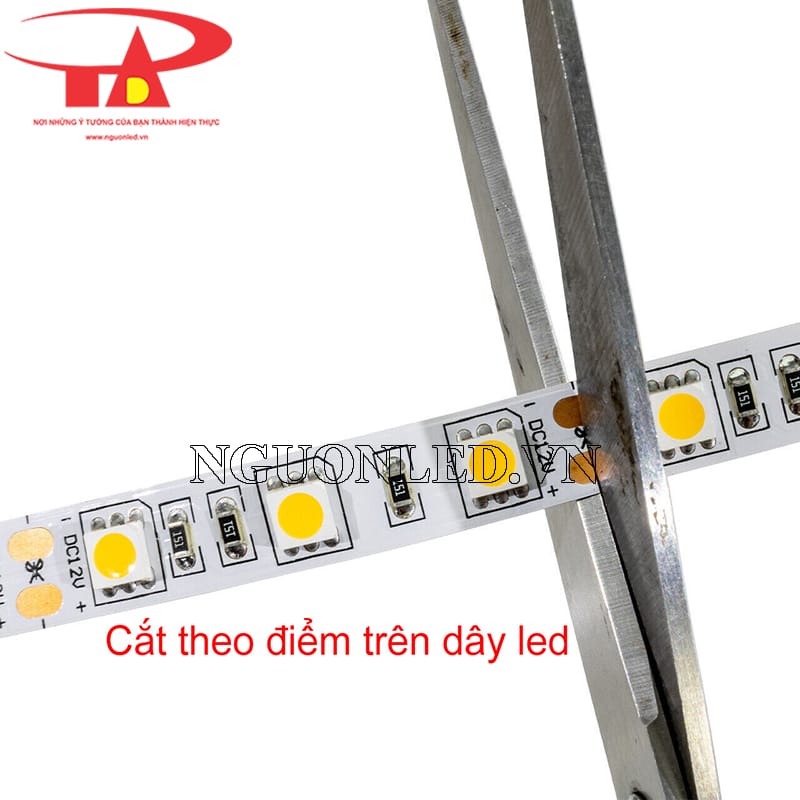 Cách nhận biết chips led 5050 ánh sáng vàng và mạch led, điểm cắt trên cuộn led 5m ​​​​​​​