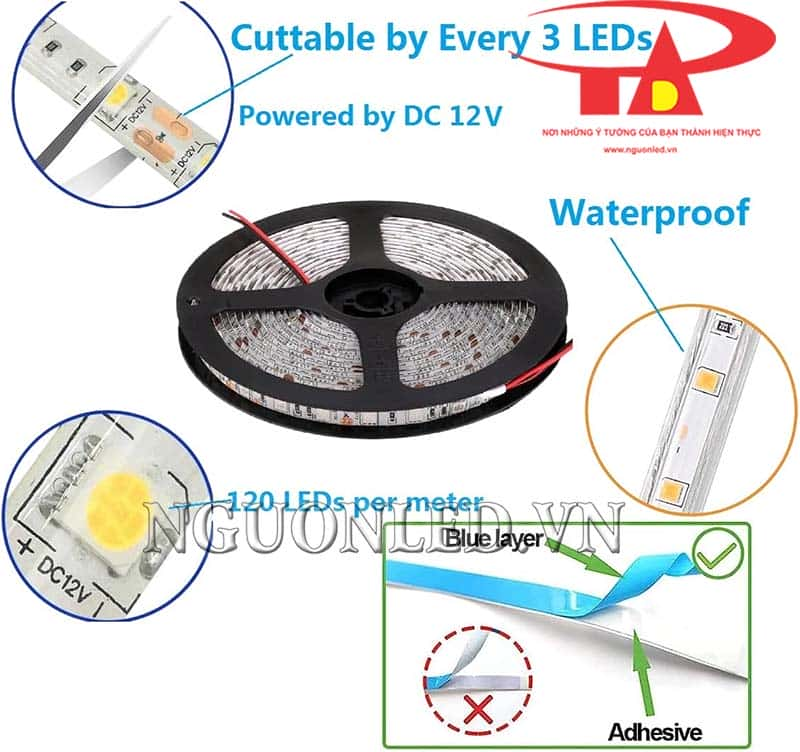 Đèn led dây 12V có keo