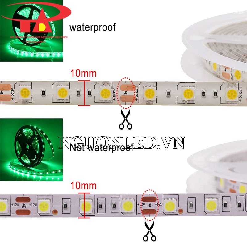 Dây led 12v 5m có keo và không keo