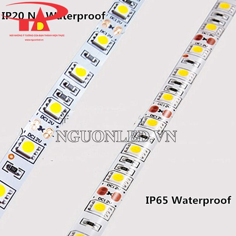 Cách nhận biết Led dây dán 12v có keo và không keo