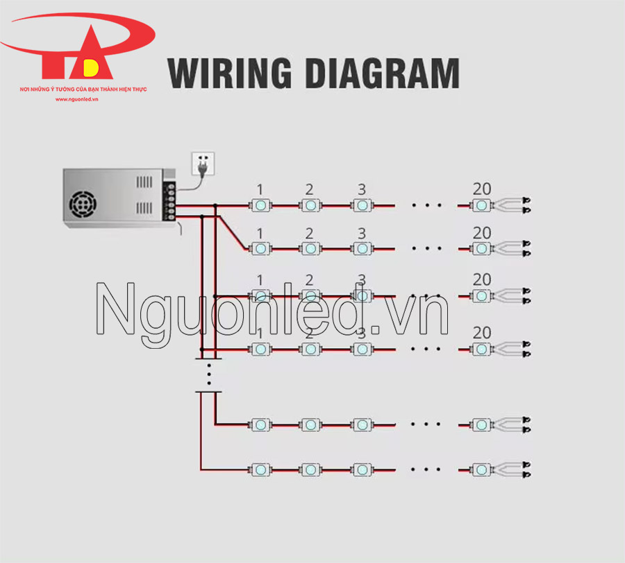 Hướng dẫu nối led module 1 mắt