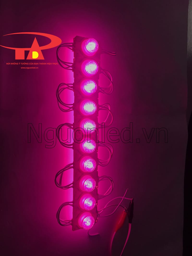 Led module 1 bóng ánh sáng màu hồng