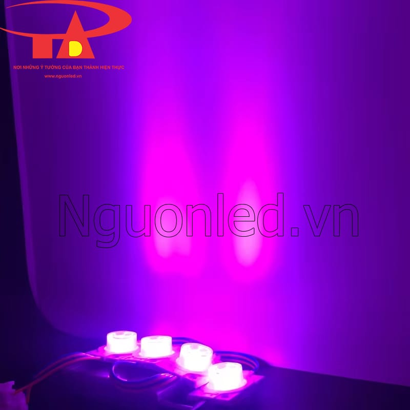 Bóng đèn led mắt trâu 12v rgb