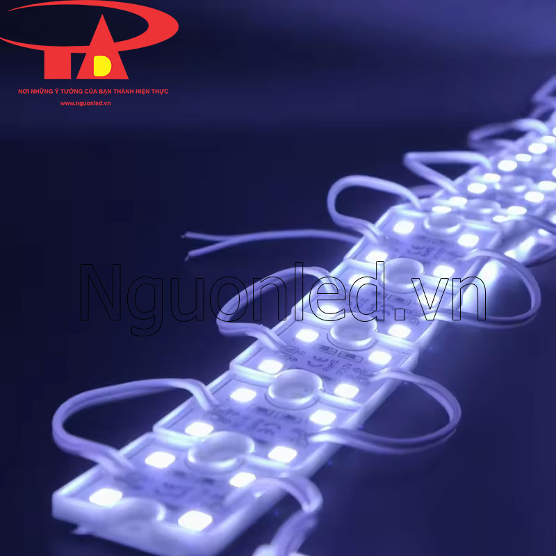 Led hắt module 4 bóng màu trắng