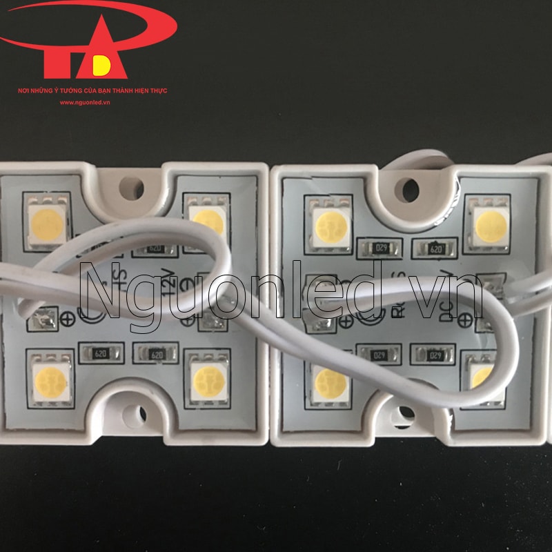 Led module 4 bóng màu vàng nắng