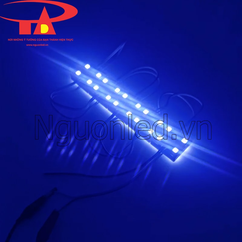 Led module 4 bóng xanh dương chống nước