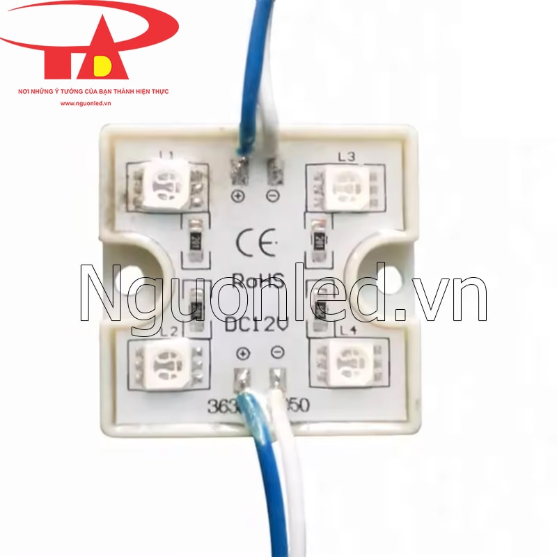 Led module 4 bóng xanh dương