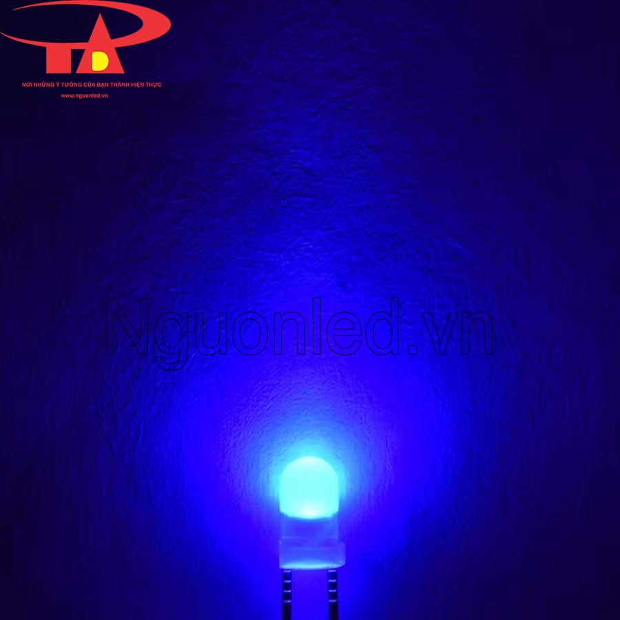 Led đơn senyang màu xanh dương