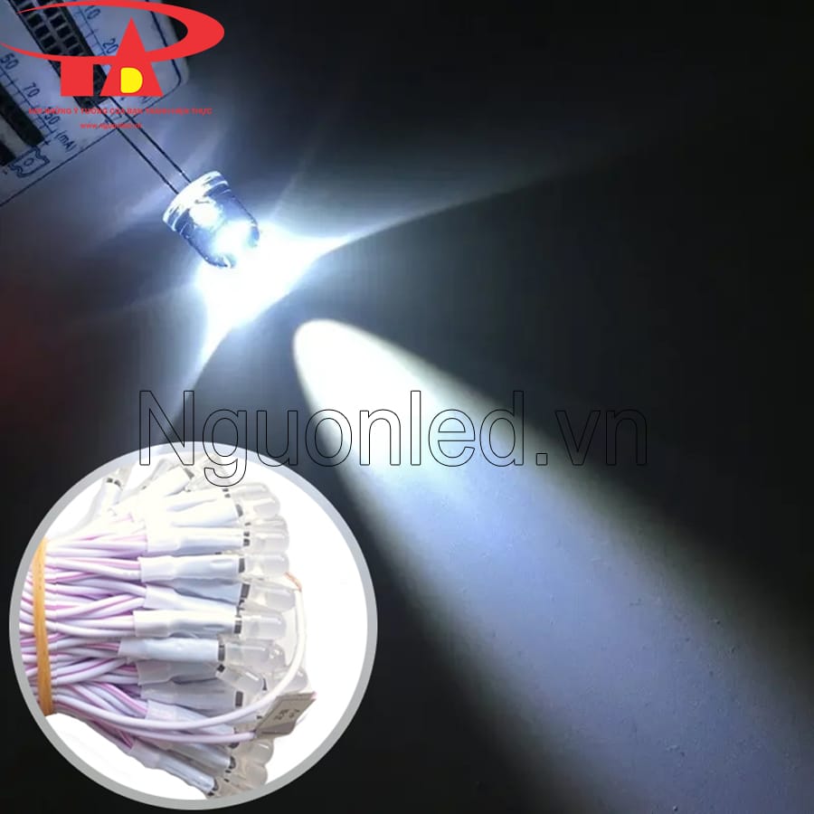 Led ruồi liền dây 5mm màu trắng