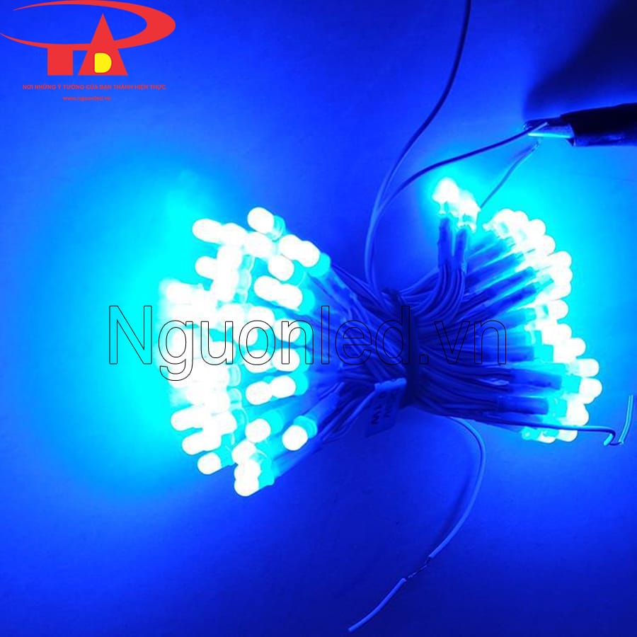 Led ruồi liền dây 5mm màu xanh dương