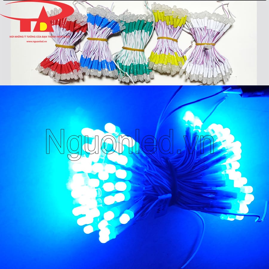 Led liền dây màu xanh dương 5mm