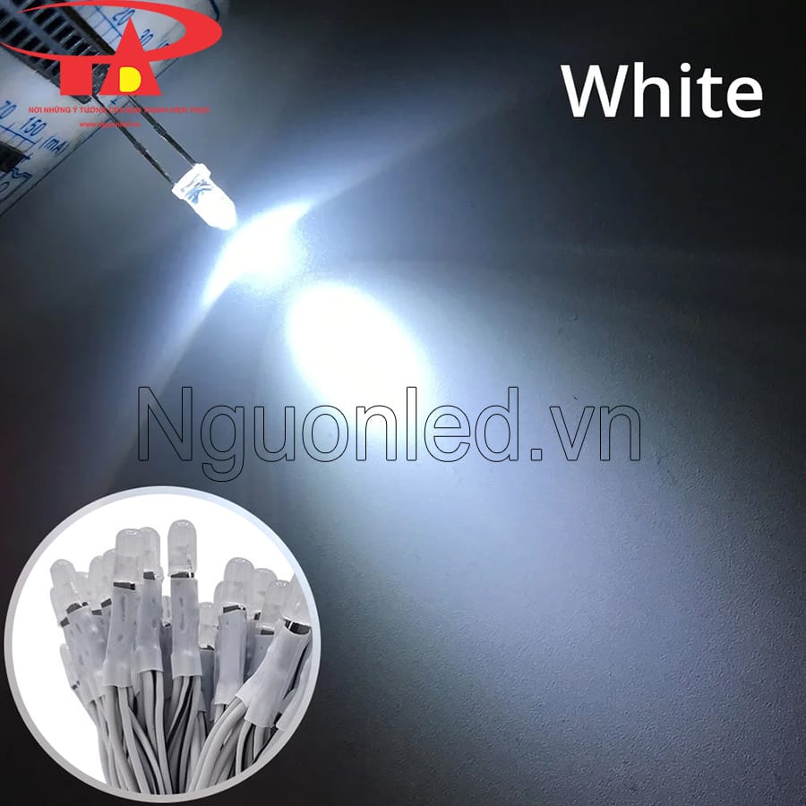 Led ruồi senyang 5mm màu trắng