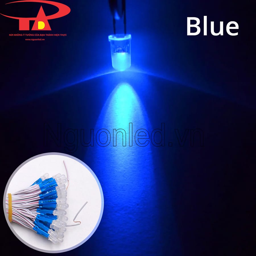 Led ruồi senyang 5mm màu xanh dương