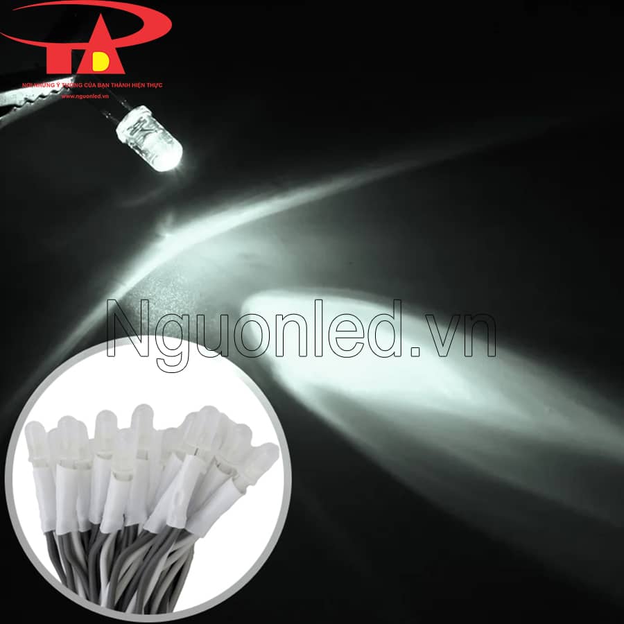 Led ruồi liền dây 5mm senyang màu trắng