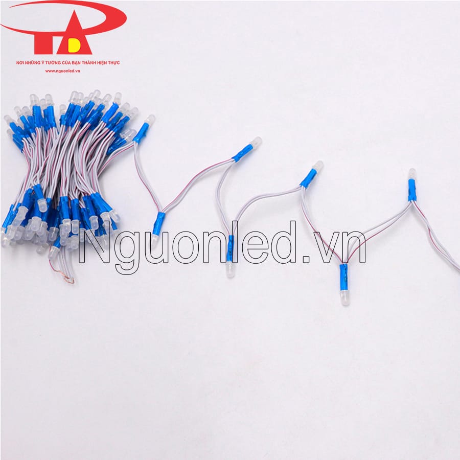 Led ruồi senyang 5mm màu xanh dương