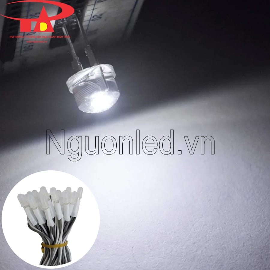 Led ruồi liền dây 5v màu trắng