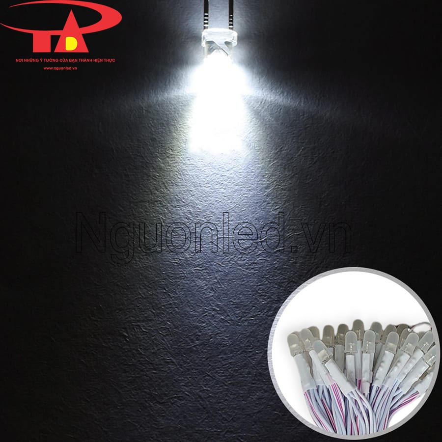 Led liền dây 5mm senyang màu trắng