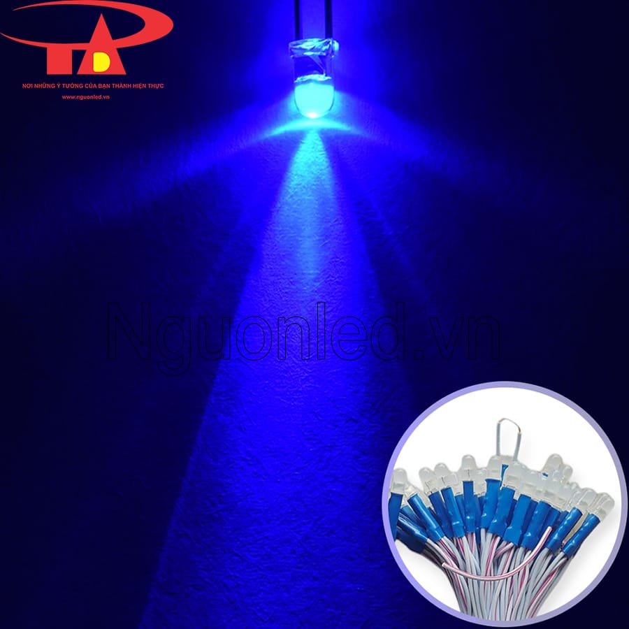 Led liền dây 5mm senyang màu xanh dương